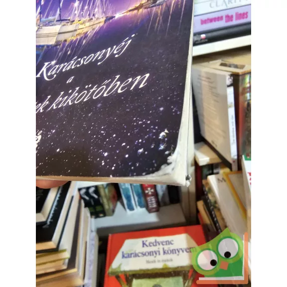 Lisa Kleypas: Karácsonyéj a Péntek kikötőben (Friday Harbor 1.)