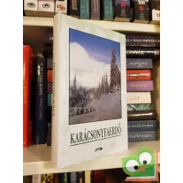 Hunyadi Csaba Zsolt (szerk.): Karácsonyfaerdő
