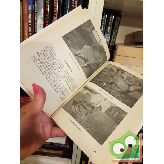 Várkonyi József - Áts Eteléné: Kecsketartás a kisüzemben (Kertünk, házunk, otthonunk) (ritka)