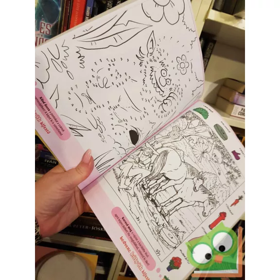 Kedvenc Kölyök Kifestő 2017/6