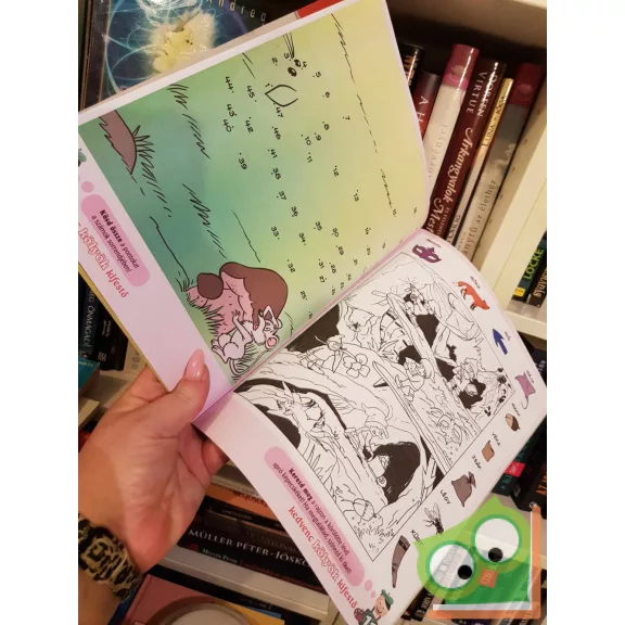 Kedvenc Kölyök Kifestő 2017/8