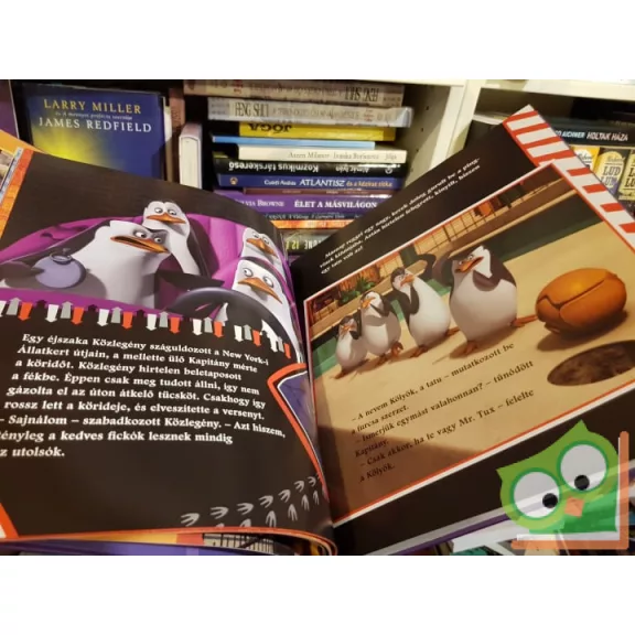 Kedvenc mesehőseink kalandjai  (Dreamworks)