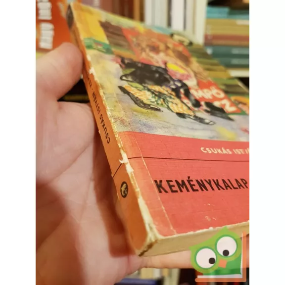 Csukás István: Keménykalap és krumpliorr (Delfin könyvek)