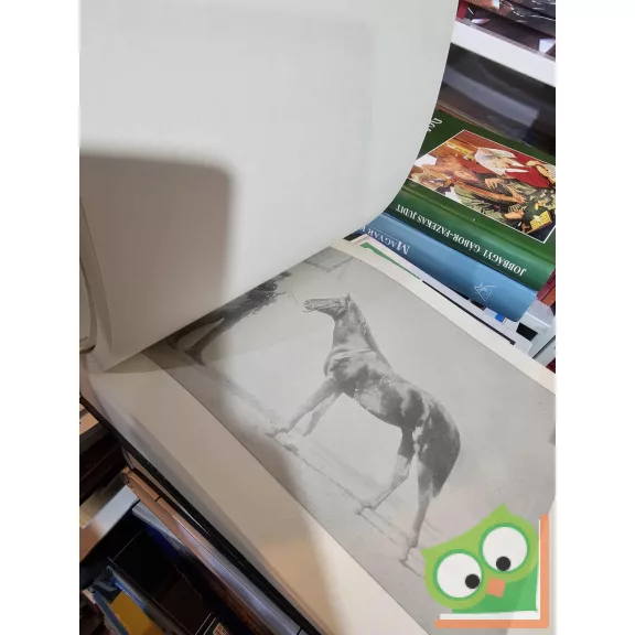 Képek Magyarország Állattenyésztéséből