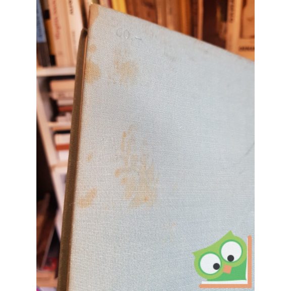 A képzőművészetek Debrecenben