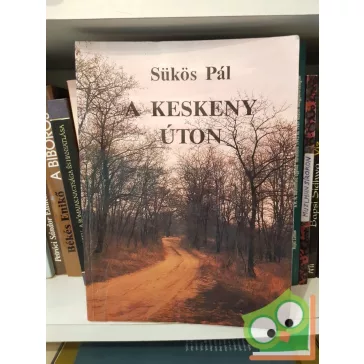 Sükös Pál: A keskeny úton