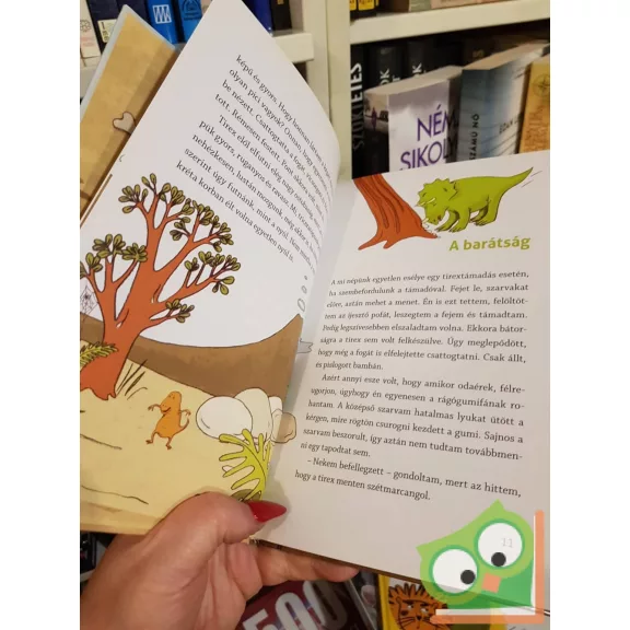 Berg Judit: Két kis dinó a zsírkréta korban (Trikó és Nyamm 1.)