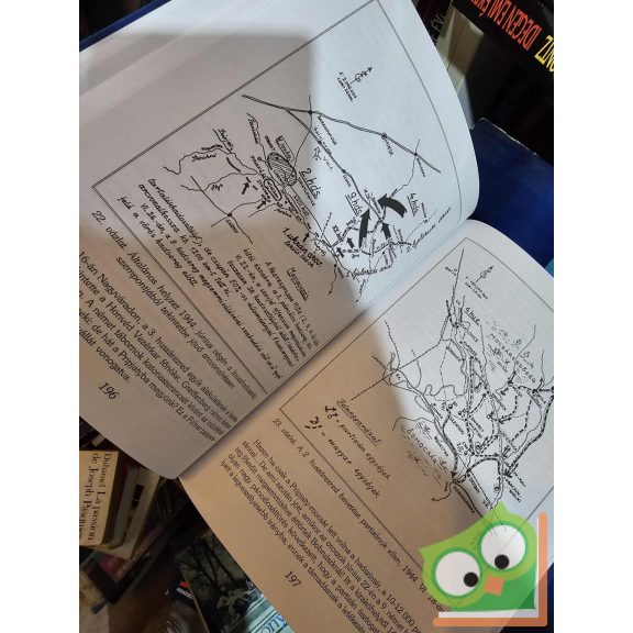 Nagy Kálmán: Két tábornok - Vetter és Vattay élete, kora, hadművészete