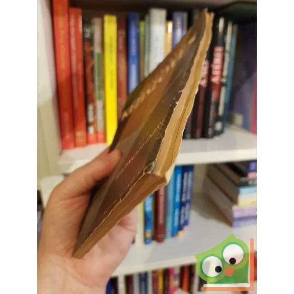 Radnóti Imre: Gyakorlati kéziszövés (Ritka)