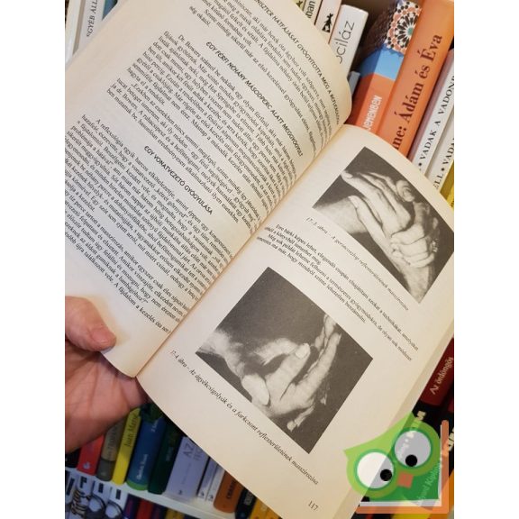 A kézmasszázs nagy könyve (Ritka)