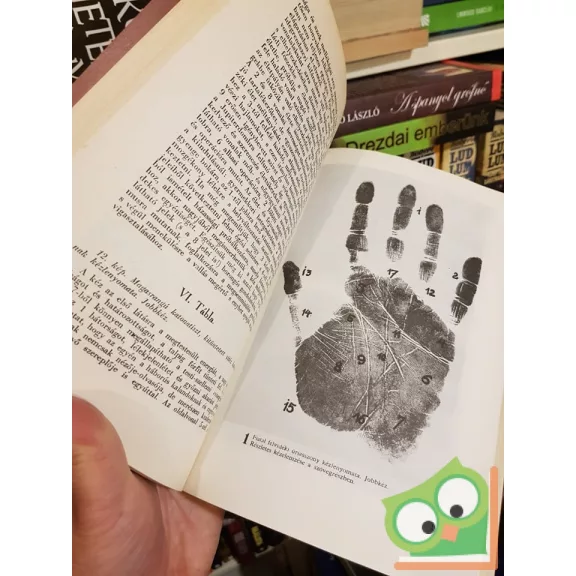 Kosutány István: Kézvonalak, embersorsok