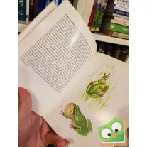 Janisch Miklós: Kígyók, békák (Búvár zsebkönyvek)