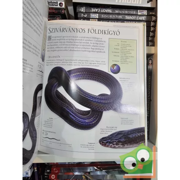 Chris Mattison: Kígyók - Képes kígyókalauz