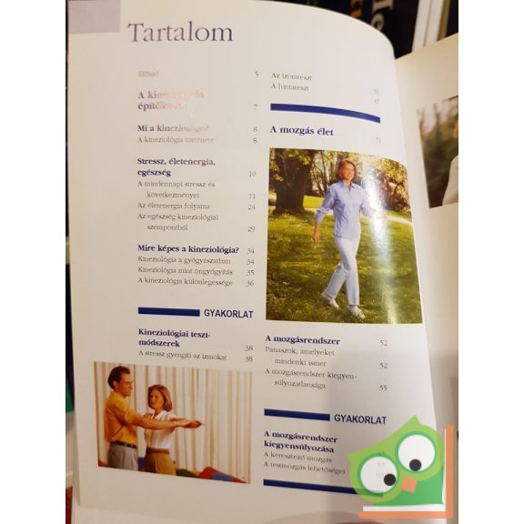 Matthias Lesch - Gabriele Förder: Kineziológia  (Ritka!)