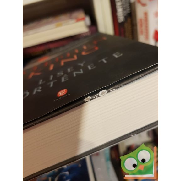 Stephen King: Lisey története (keményfedeles)