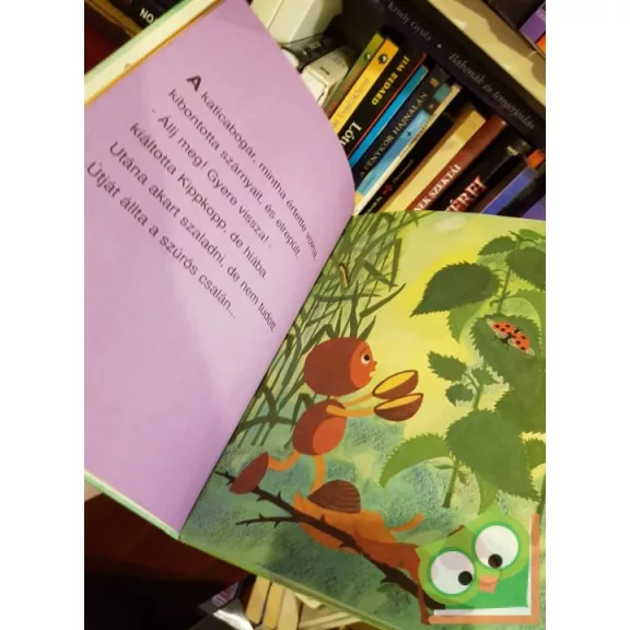 Marék Veronika: Kippkopp a fűben (Kippkopp 1.)