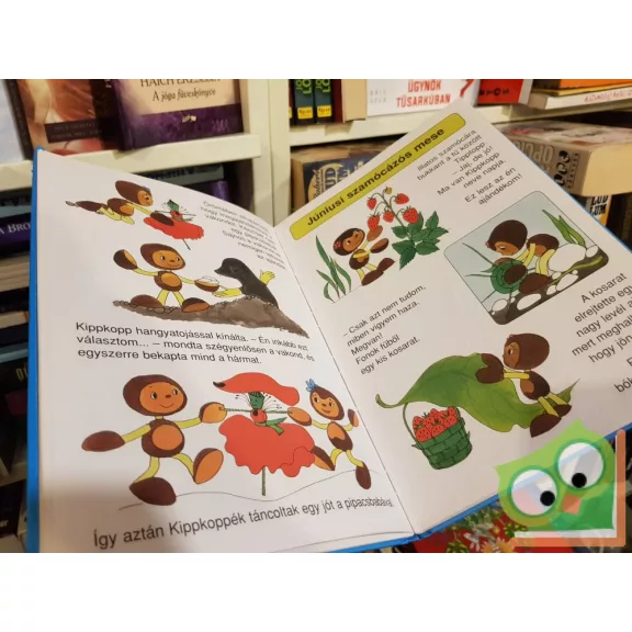 Marék Veronika: Kippkopp és a hónapok (Kippkopp 6.)