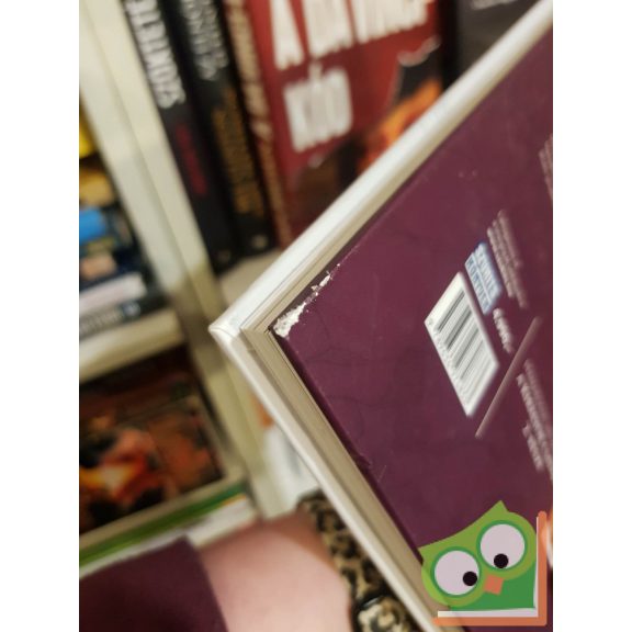 George R. R. Martin - Landry Q. Walker: Királyok csatája 1. (A tűz és jég dala 5.) (képregény 1. kötet)