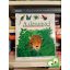 René Mettler: A dzsungel (Kis felfedező zsebkönyvek 23.)  (rajzos fóliával)