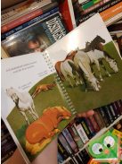 Henri Galeron: A ló (Kis felfedező zsebkönyvek 10.) (ritka) (rajzos fóliával)
