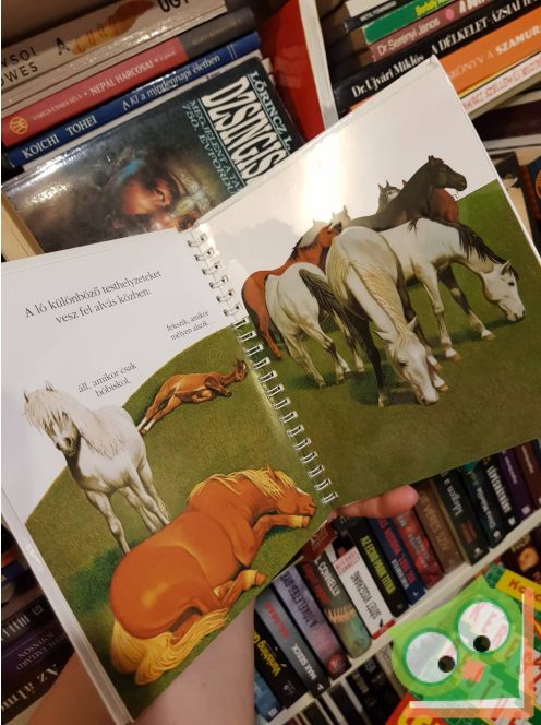Henri Galeron: A ló (Kis felfedező zsebkönyvek 10.) (ritka) (rajzos fóliával)