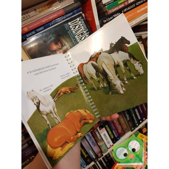 Henri Galeron: A ló (Kis felfedező zsebkönyvek 10.) (ritka) (rajzos fóliával)