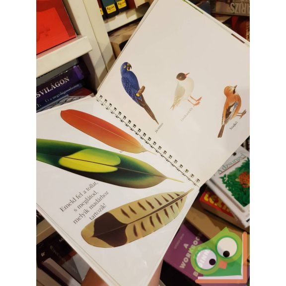 Claude Delafosse, René Mettler (szerk.): A madár (Kis felfedező zsebkönyvek 24.)  (rajzos fóliával)