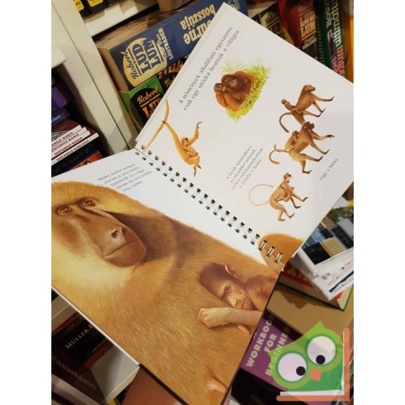 Jame's Prunier: A majom (Kis felfedező zsebkönyvek 29.) (ritka) (rajzos fóliával)