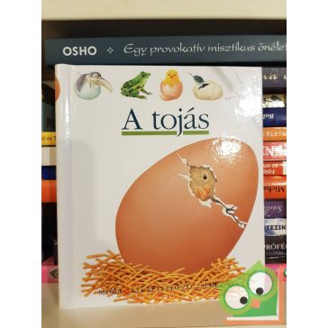   René Mettler: A tojás (Kis felfedező zsebkönyvek 34.) (rajzos fóliával)