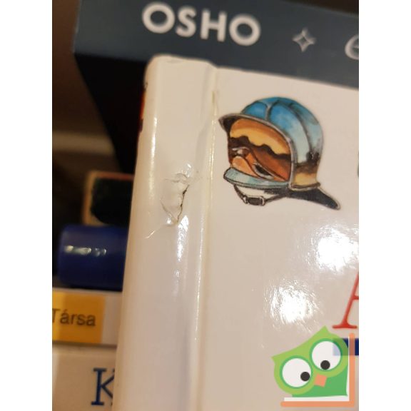 Daniel Moignot: A tűzoltók (Kis felfedező zsebkönyvek 26.) (ritka) (rajzos fóliával)