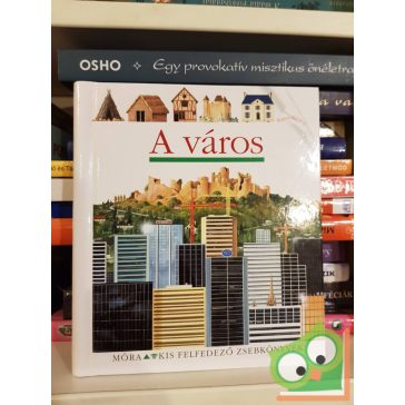   Christian Broutin: A város (Kis felfedező zsebkönyvek 28.) (rajzos fóliával)