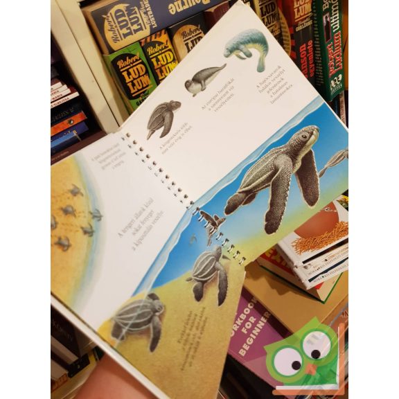 Pierre de Hugo: A veszélyeztetett állatok(Kis felfedező zsebkönyvek 33.) (ritka) (rajzos fóliával)