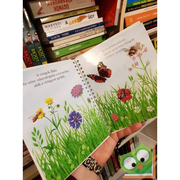 René Mettler: A virág (Kis felfedező zsebkönyvek 1.) (ritka) (rajzos fóliával)