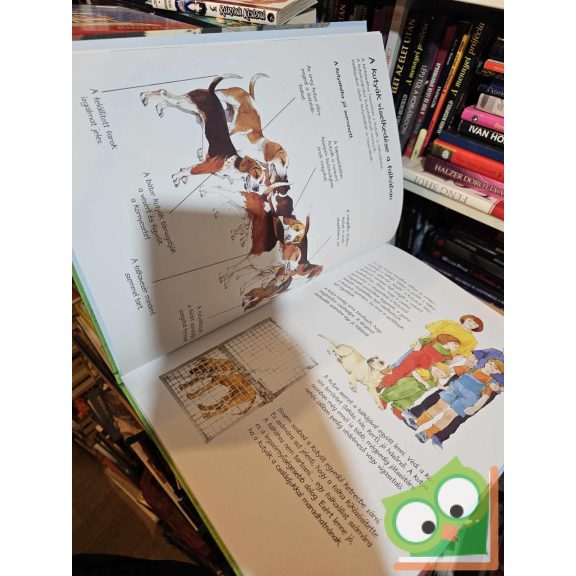 Thea Rob: Kis gazdik nagy kutyakönyve