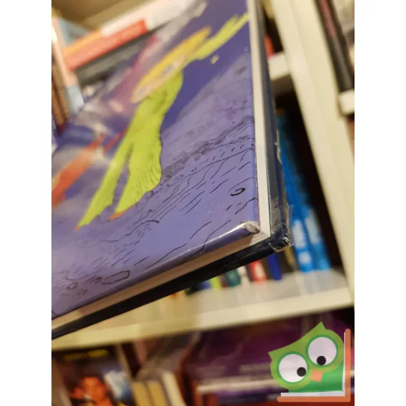 Joann Sfar: A kis herceg  (Antoine De Saint-Exupéry Műve Nyomán)