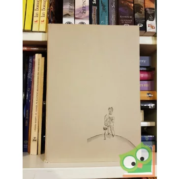 Antoine de Saint-Exupéry: A kis herceg