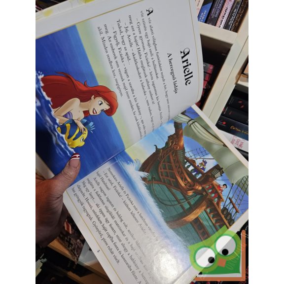 Walt Disney - Kis hercegnők esti meséi