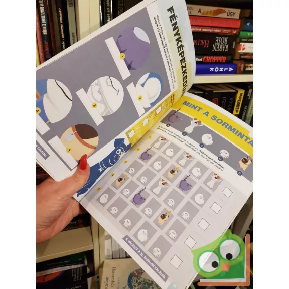 Kis kedvencek titkos élete 2. - Állati foglalkoztatókönyv