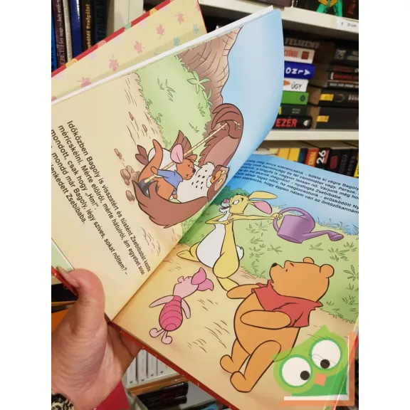 Ysenda Maxtone-Graham: A kis kengurupalánta (Walt Disney - Micimackó könyvklub)