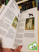 Joan Palmer: Tanácsadó kézikönyv kis testű kutya választásához