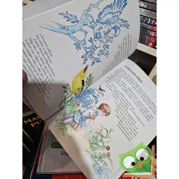 Schmidt Egon: A kisfiú és a madarak (Mesélnek az állatok)