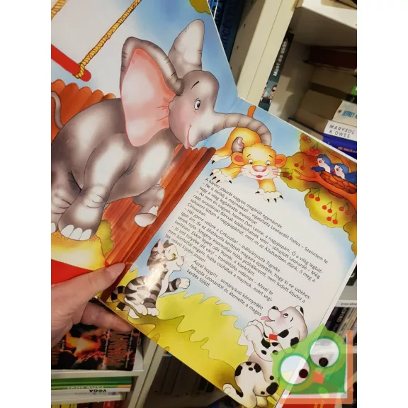 Boros E. Zsuzsanna: Kíváncsi kiskutya legújabb kalandjai