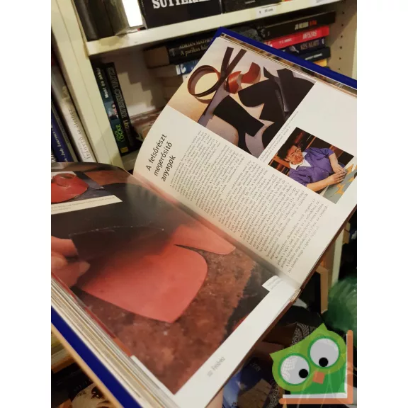 Vass László - Molnár Magda: A klasszikus férficipő (ritka)