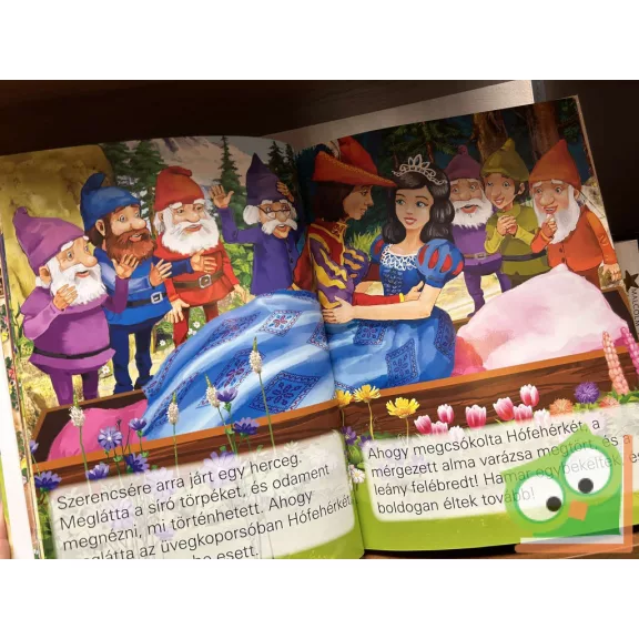 Klasszikus tündérmesék (6 mese)