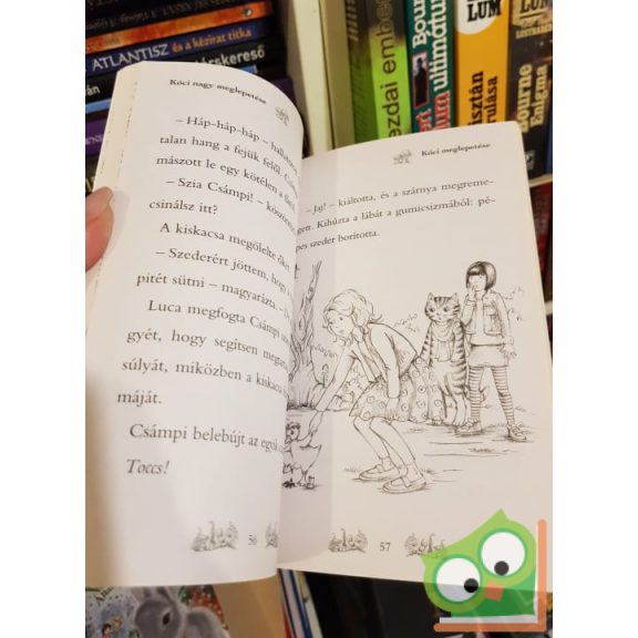 Daisy Meadows: Kóci nagy meglepetése (Varázslatos Állatbirodalom 10.) (ritka)