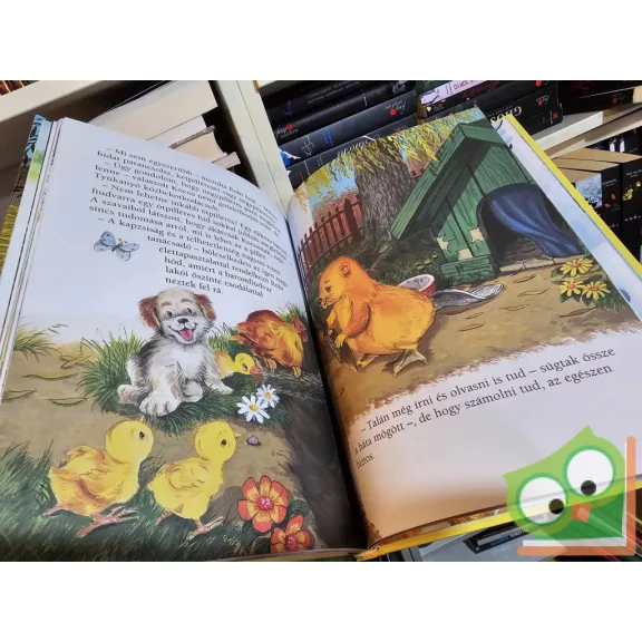 Feketű Csaba: Kócos kalandjai