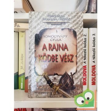 Somogyváry Gyula: A Rajna ködbe vész