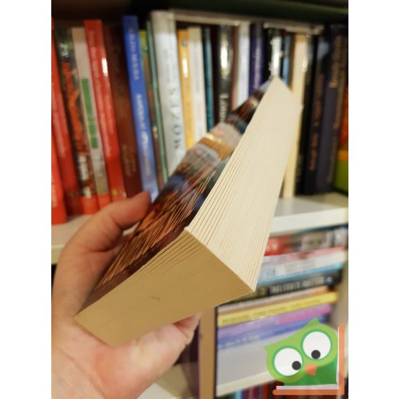 Dean R. Koontz: A sötétség szeme