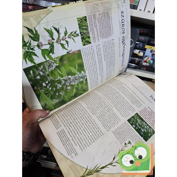 Buday Andrea: Környezetünk gyógyító növényei