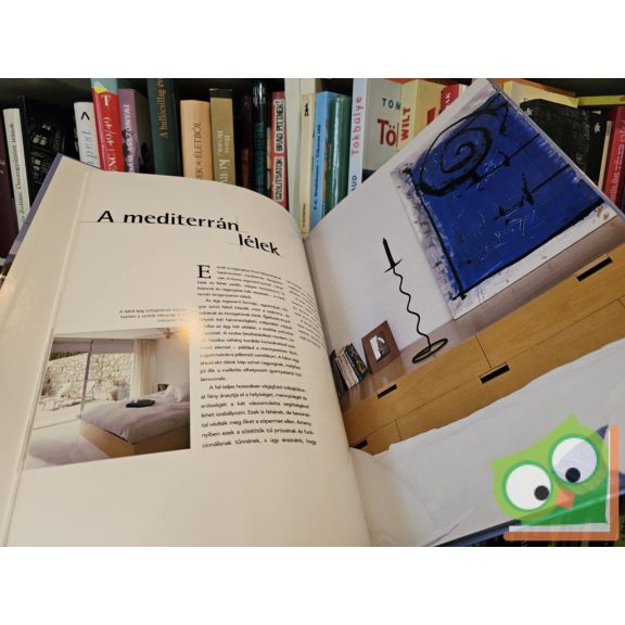 Francisco Asensio Cerver: Korszerű lakberendezés